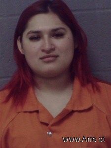 Arlene Torres Arrest Mugshot