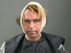 Austin Bronk Arrest Mugshot