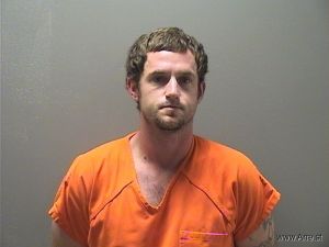 Austin Wilkins Arrest Mugshot