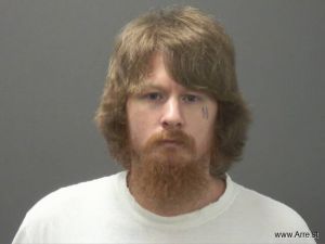Brady Henson Arrest Mugshot
