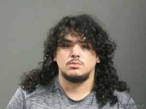 Brandon Becerra Arrest Mugshot