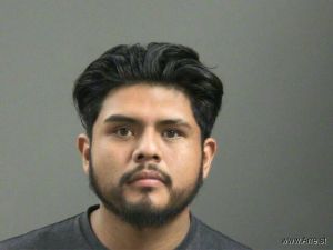 Carlos Vicente-gonzalez Arrest