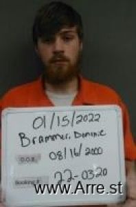 Dominic Brammer Arrest Mugshot