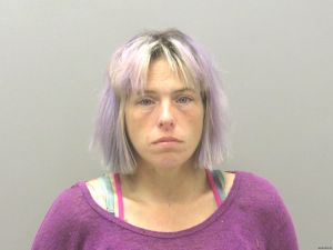 Elizabeth Louissaint Arrest Mugshot