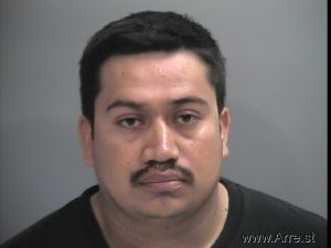 Fernando Monter-verde Arrest Mugshot