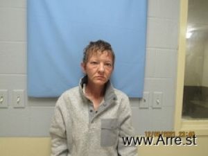 Heather Hitchcock Arrest Mugshot