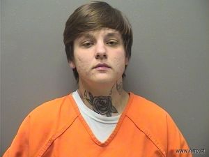 Hayley Hollingsworth Arrest Mugshot