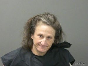 Heidi Bolinger Arrest Mugshot