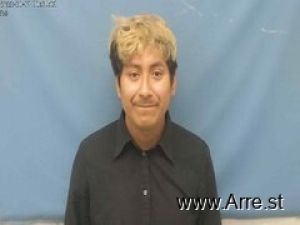 Henry Ariza Arrest Mugshot