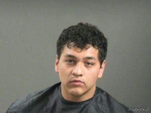 Juan De La Hoya Arrest Mugshot