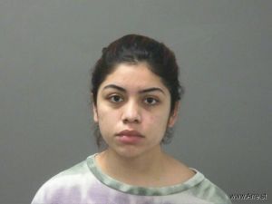 Kimberly Flores-ara Arrest Mugshot