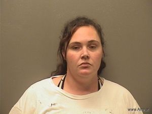 Lindsay Seger Arrest Mugshot