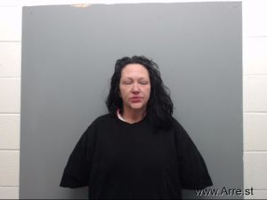 Lisa Sanders  Arrest Mugshot