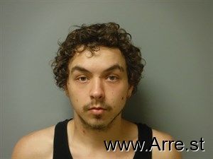 Lukas Verselis Arrest Mugshot