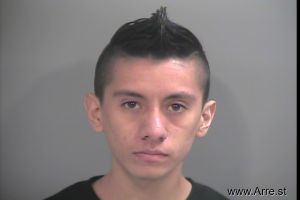 Manuel Diaz-leal Arrest