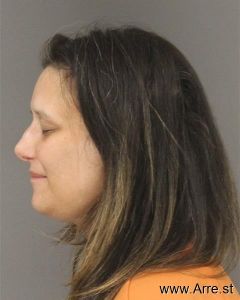 Megan Rogers Arrest