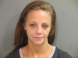 Melissa Landers Arrest