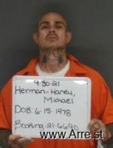 Michael Herman-haney Arrest Mugshot