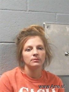 Michelle Williams Arrest Mugshot