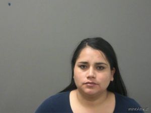 Noemi Martinez Arrest