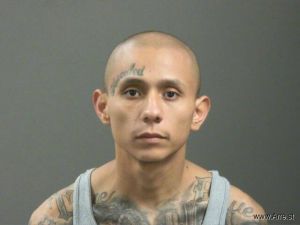 Octavio Soltero-luna Arrest Mugshot