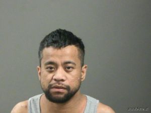 Pj Elmer Arrest Mugshot