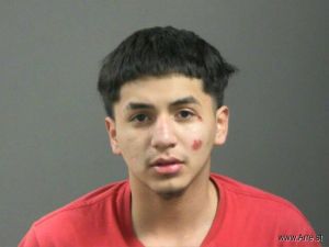 Ranulfo Martinez Arrest