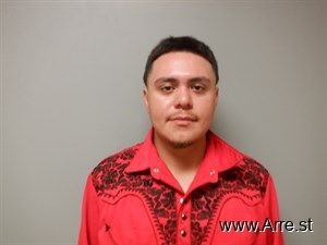 Raul Ornelas Arrest Mugshot