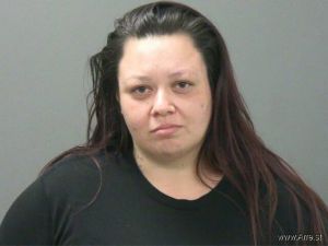 Robin Delgado Arrest Mugshot
