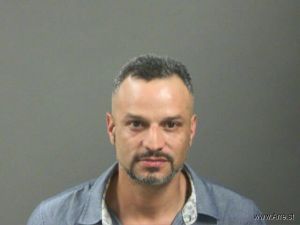 Ronnie Martinez Arrest Mugshot