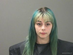 Sarah Pitzner Arrest Mugshot
