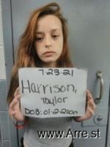 Taylor Harrison Arrest Mugshot
