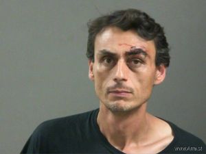 Travis Johnson Arrest Mugshot