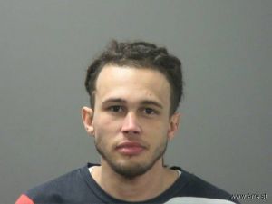 Tyler Adams Arrest Mugshot
