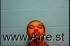 Jonavon Paige Arrest Mugshot Ouachita 12/02/2015