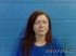 TRACY GREEN Arrest Mugshot Poinsett 05-08-2022