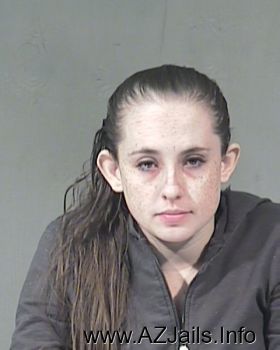 Amber Ann Williams Mugshot