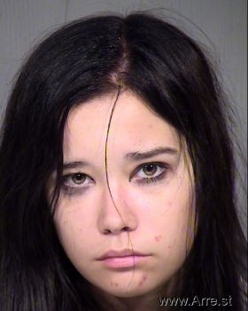 Amy Michelle Erickson Mugshot