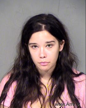 Amy  Erickson Mugshot