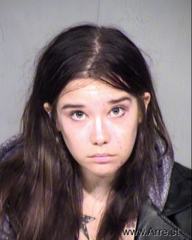 Amy Michelle Erickson Mugshot