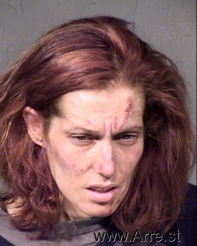 Amy Frayne Porter Mugshot