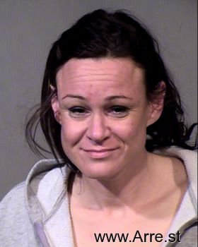 Amy Lynn Sanders Mugshot