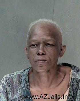 Anna Ruth Hollins Mugshot