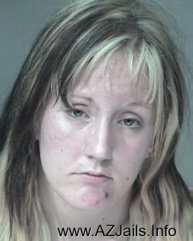 Ashley Lynn Holt Mugshot