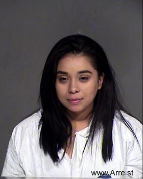 Adriana A Castaneda Villanu Mugshot