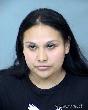 Adriana R Gonzalez Mugshot