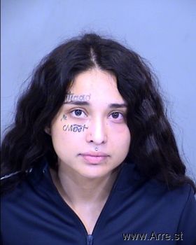 Adriana Elida Perez Mugshot