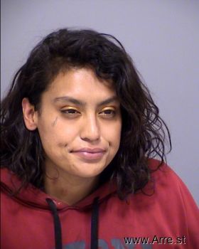 Adriana  Sanchez Torres Mugshot