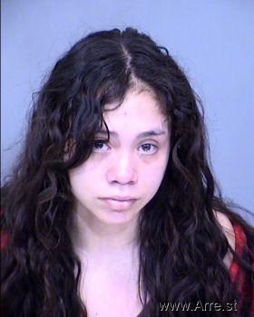 Adriana Teresita Valenzuela Mugshot