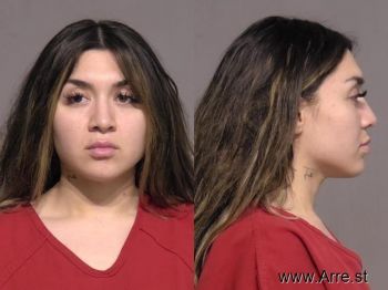 Alejandra Ledezma Ramirez Mugshot